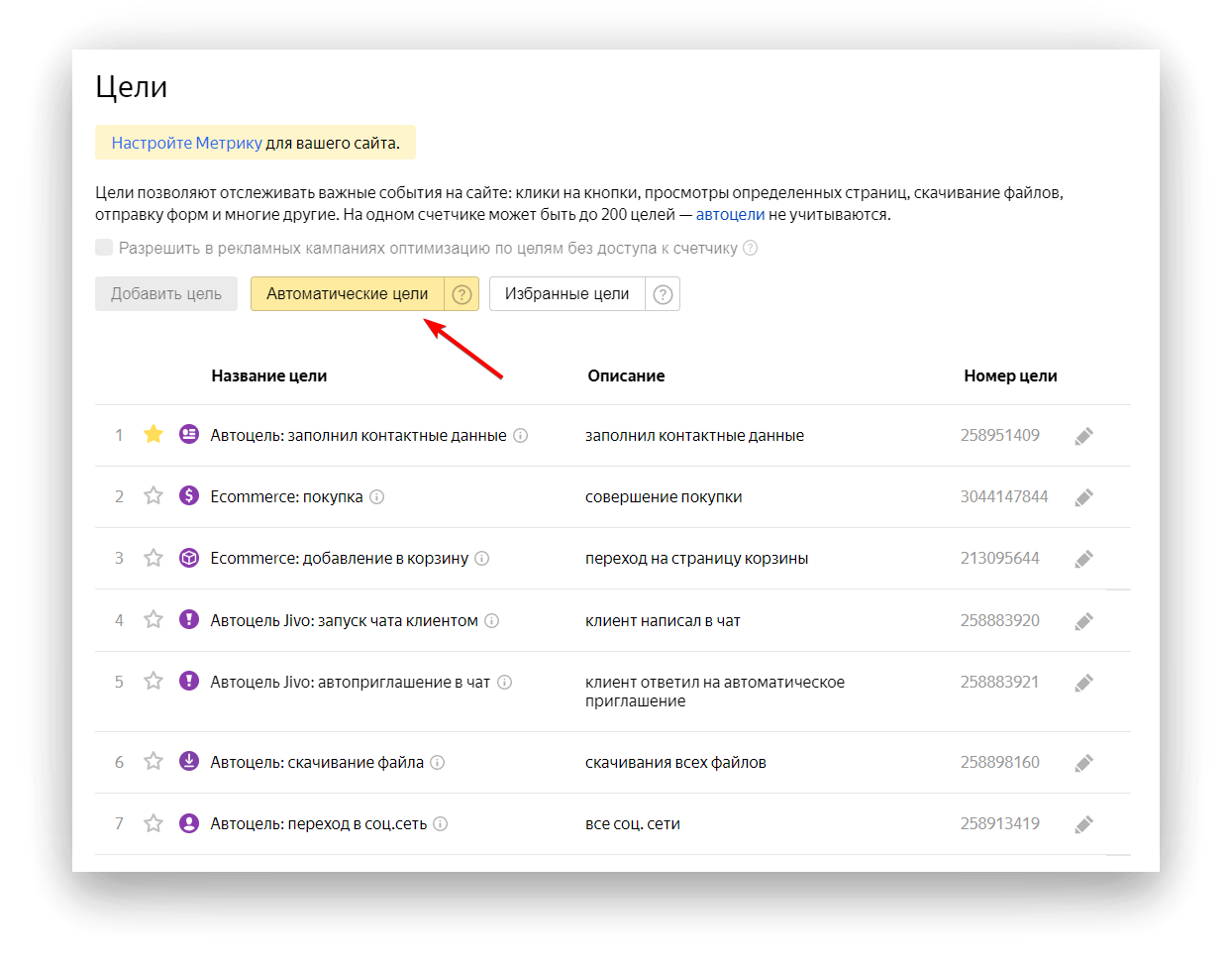 Фильтр автоматических целей в Метрике